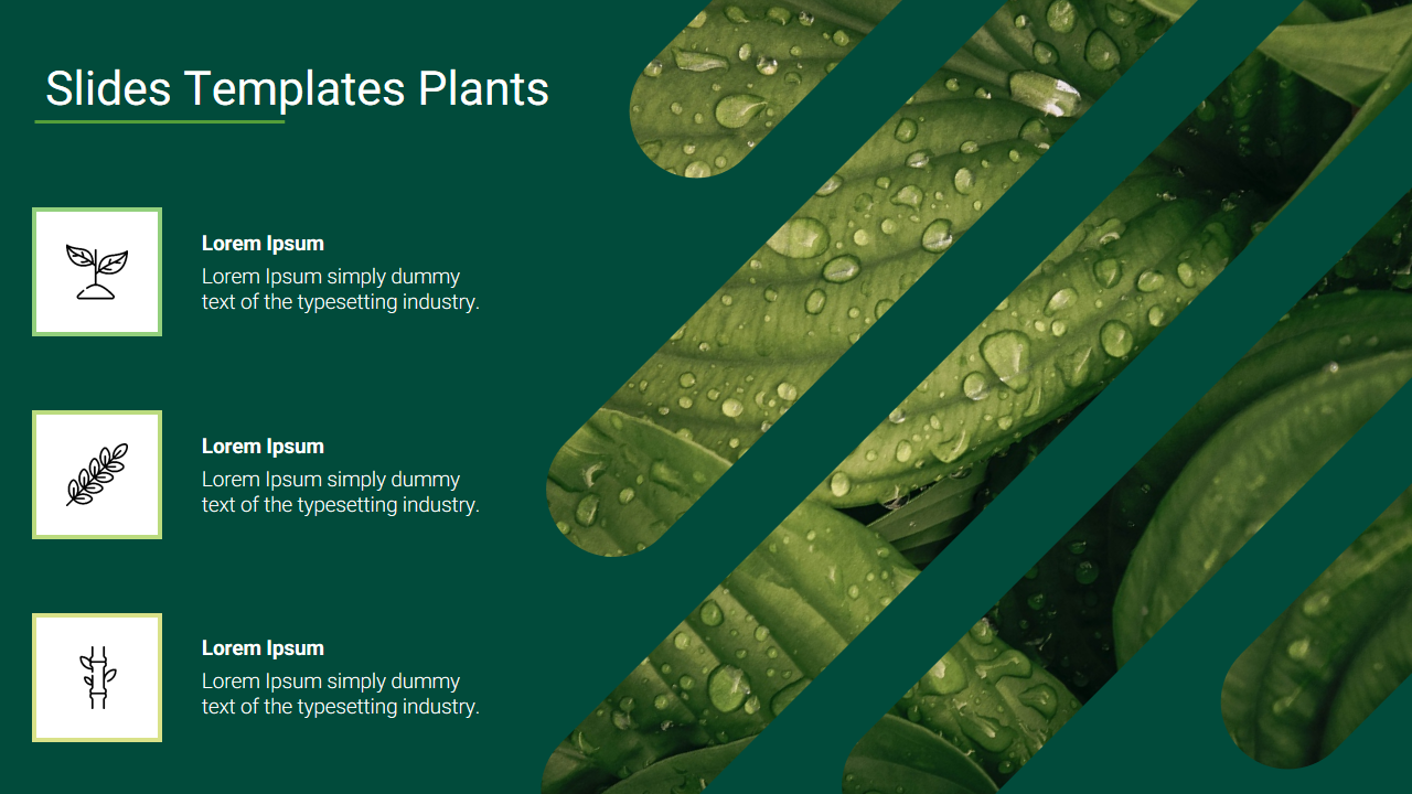 Google Slides Templates Plants
